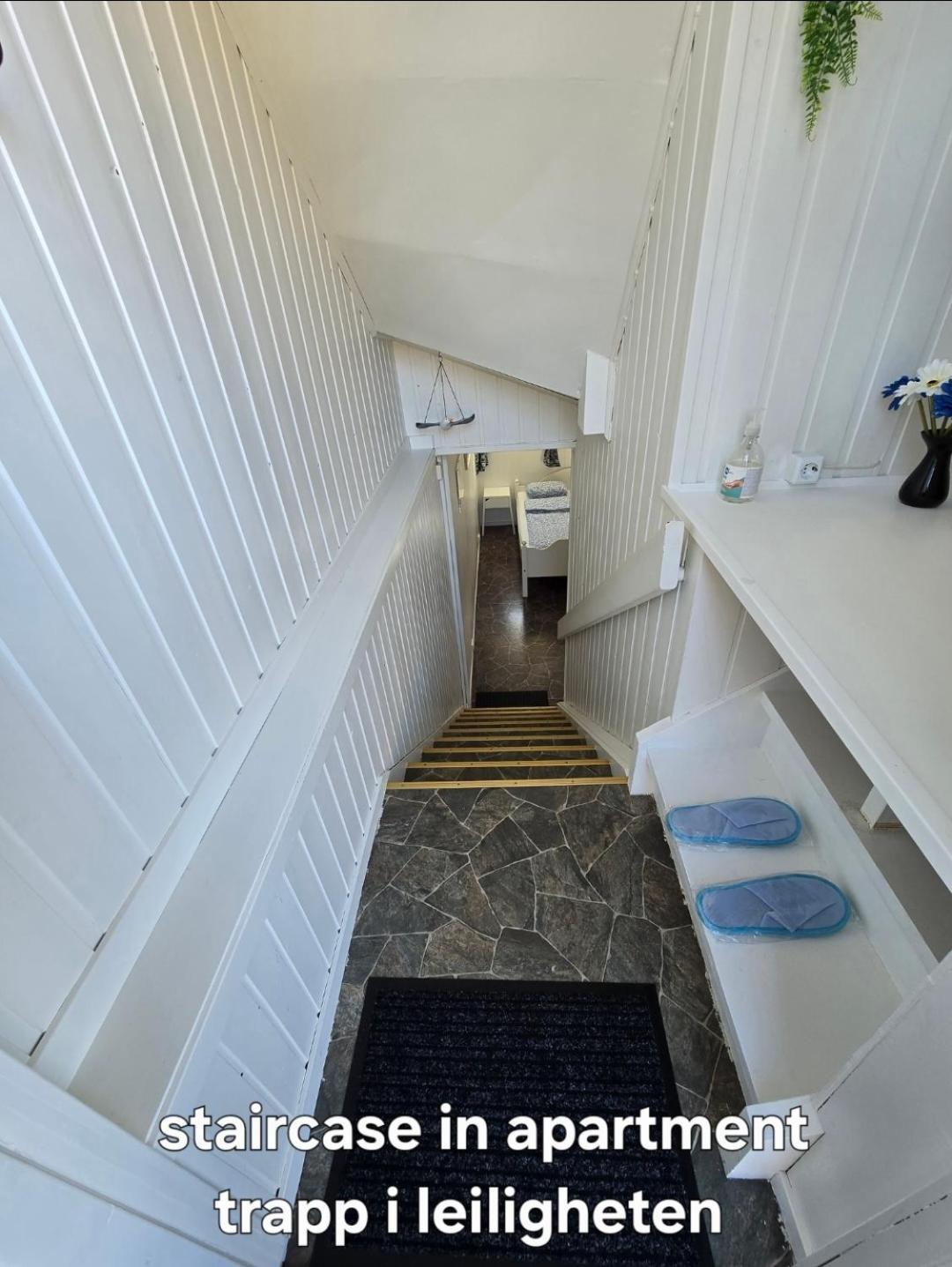 Hybel Til Leie Apartment